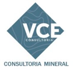 vce consultoria